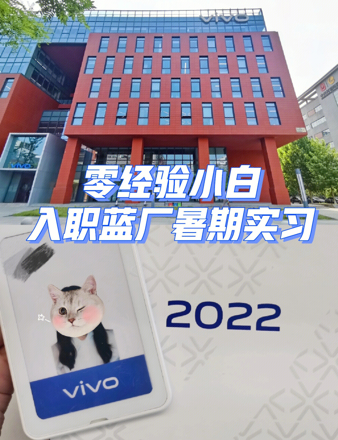 分享零经验运营小白入职北京vivo暑假实习