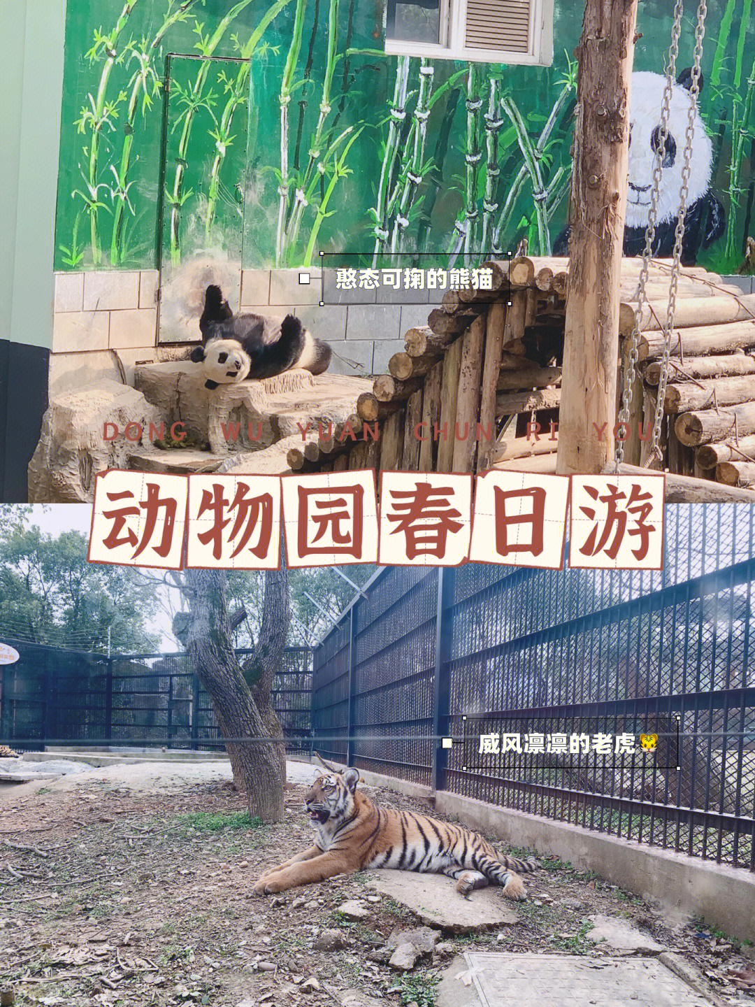 江西动物园排名图片