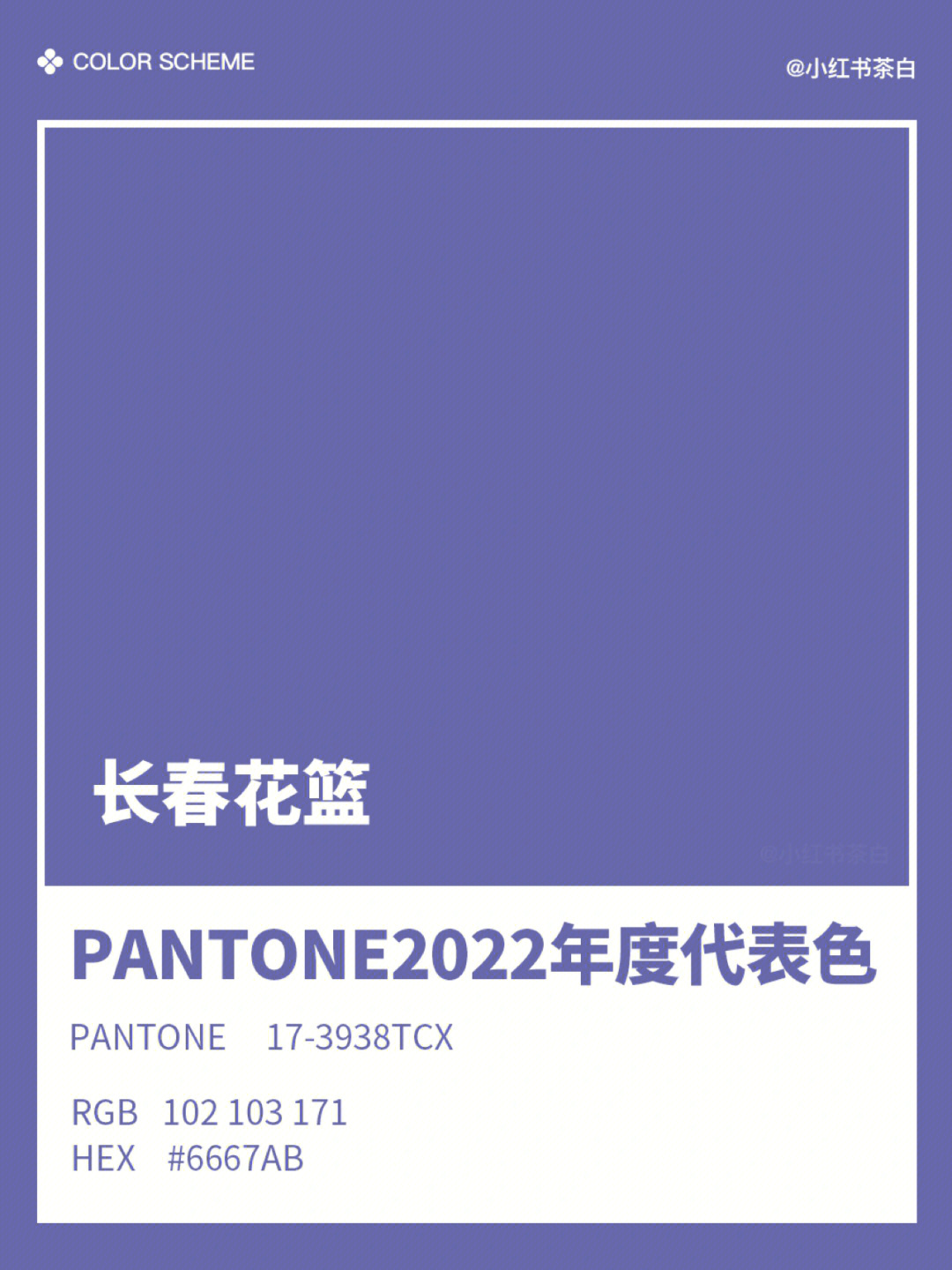 潘通2022年度流行代表色长春花篮