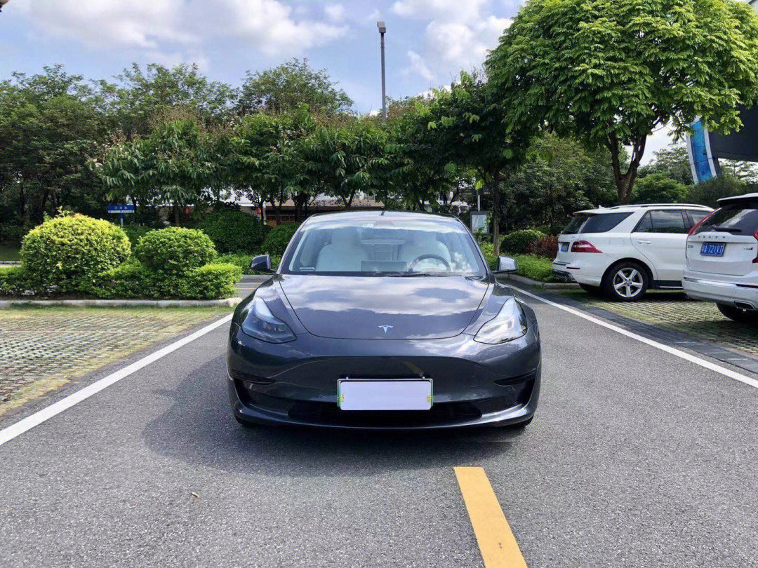 特斯拉model3这个街最靓的崽