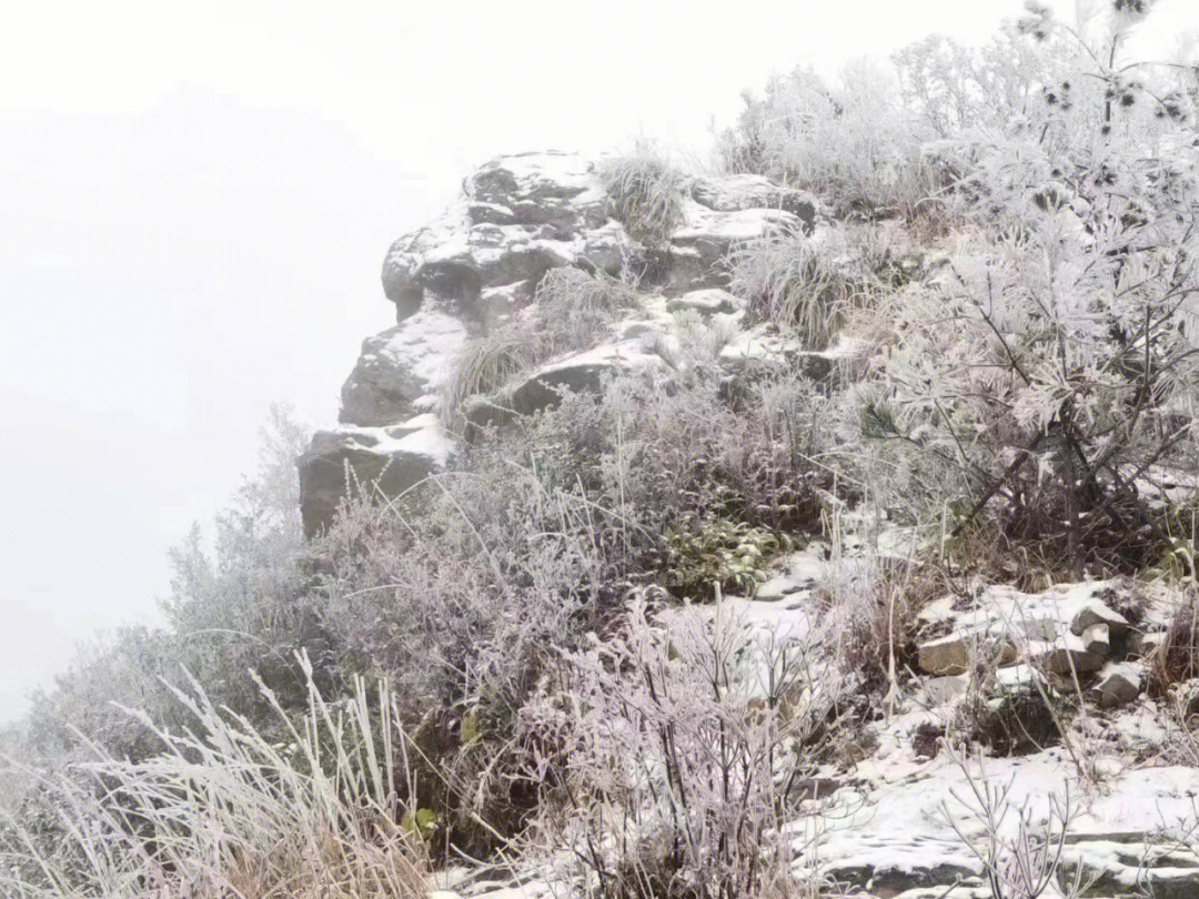 2022年第一场雪宝山雪景