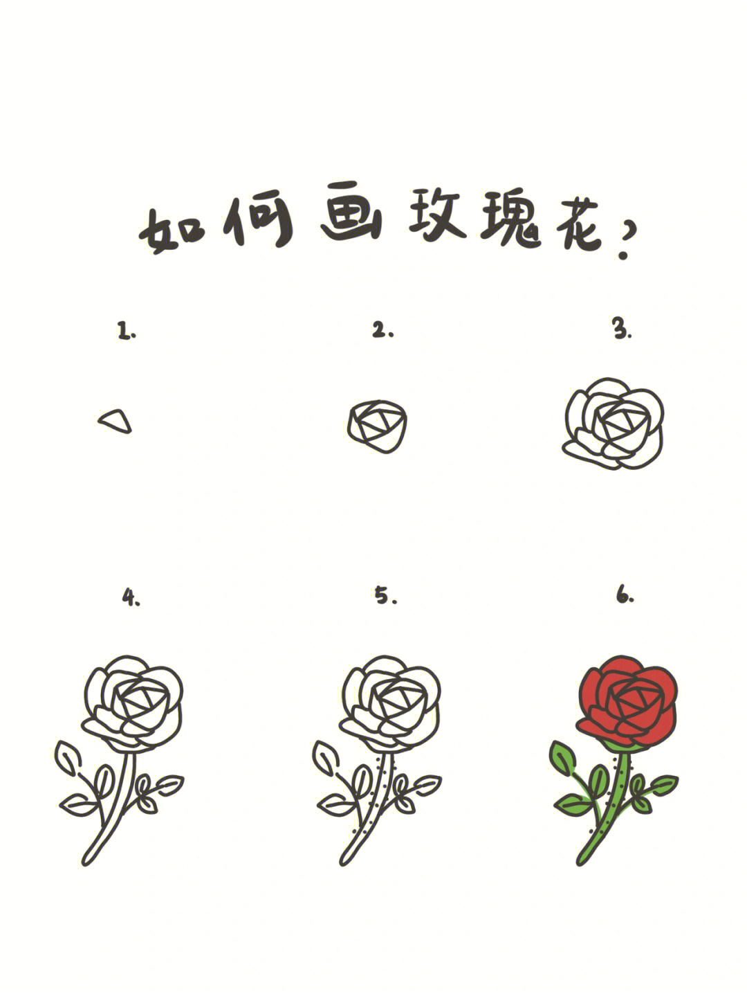 玫瑰花画法步骤花朵图片