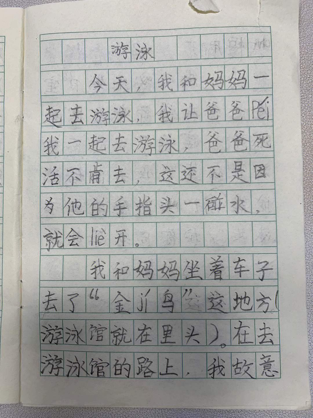 生活中的错别字作文图片