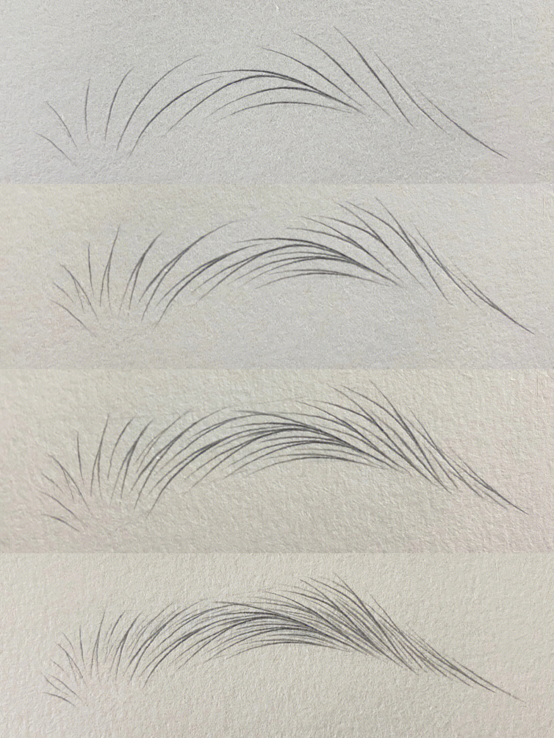 眉毛的素描画法步骤图图片