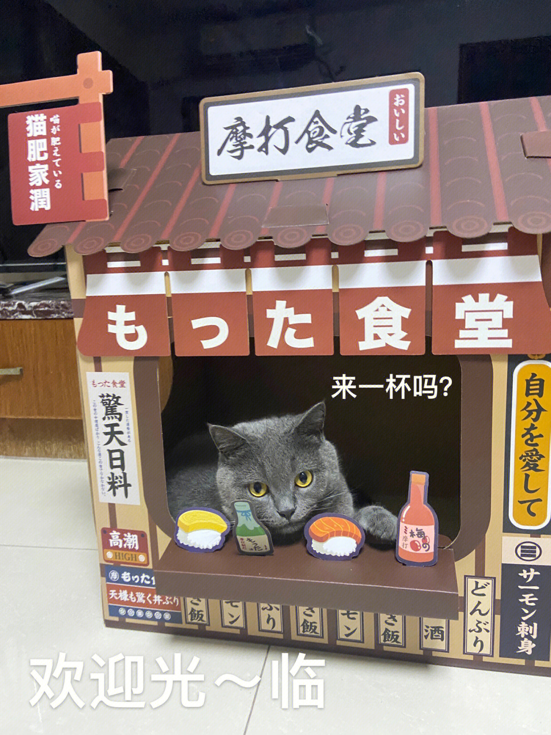 猫回头餐饮图片