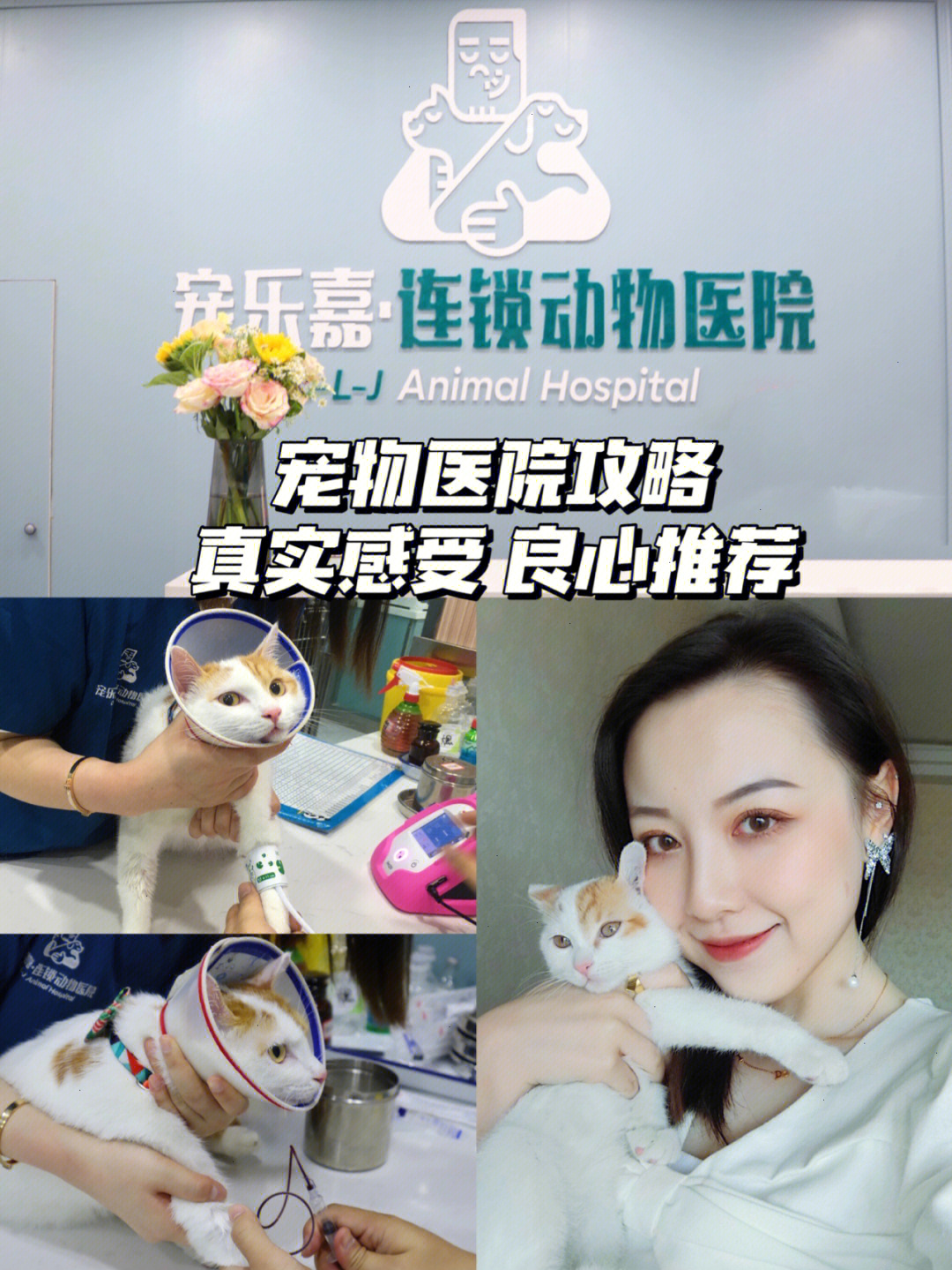 广州宠物乌龟的医院_宠物在线医院_宠物医院
