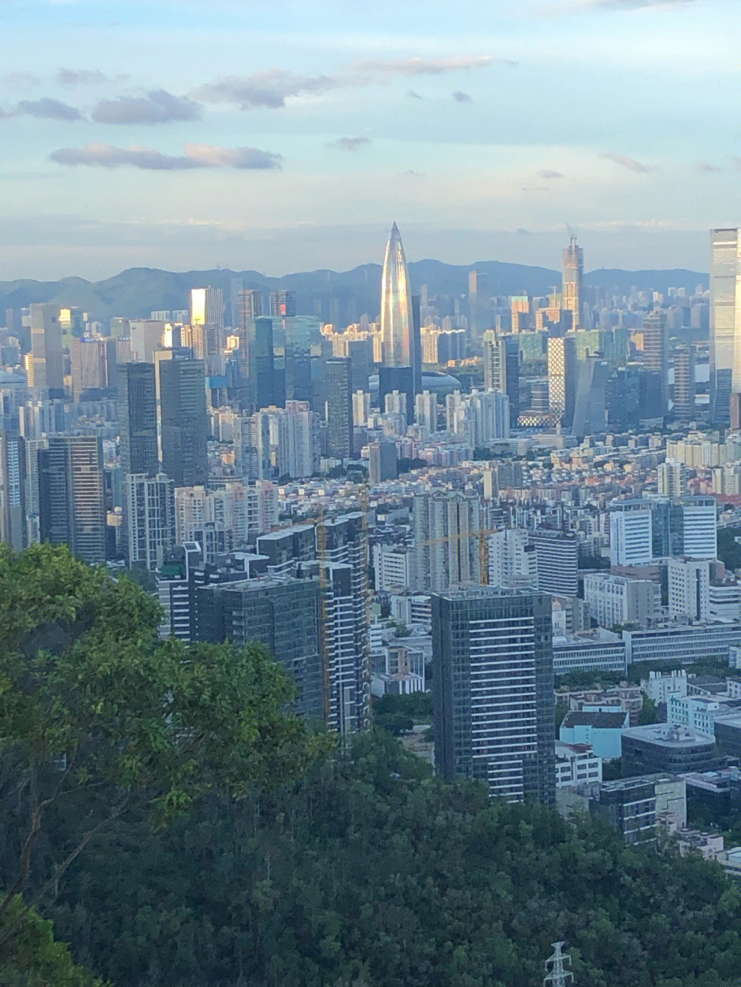 深圳市大南山景点图图片