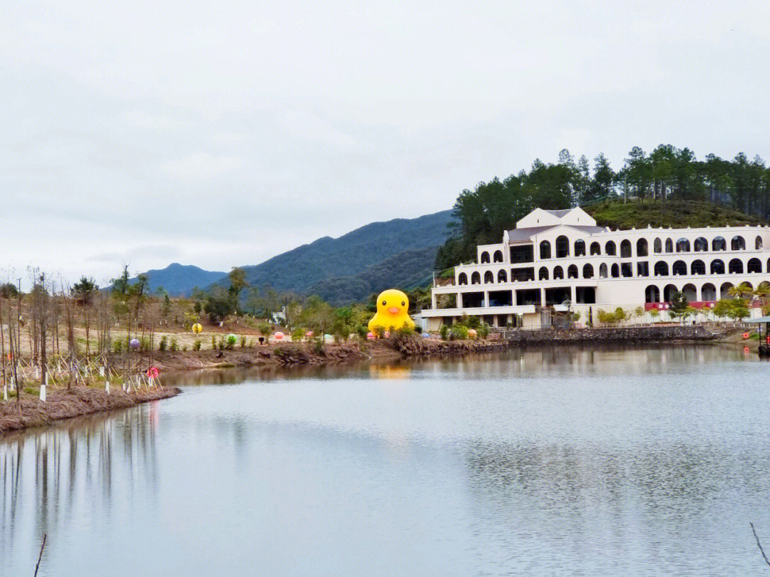 河源康禾十八温泉门票图片