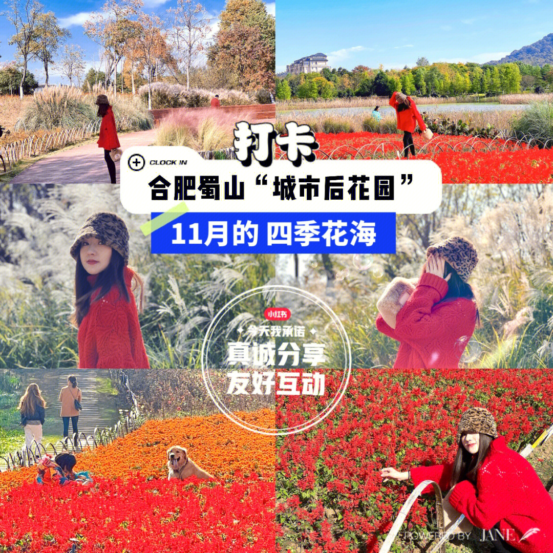 合肥蜀山城市后花园11月的四季花海公园