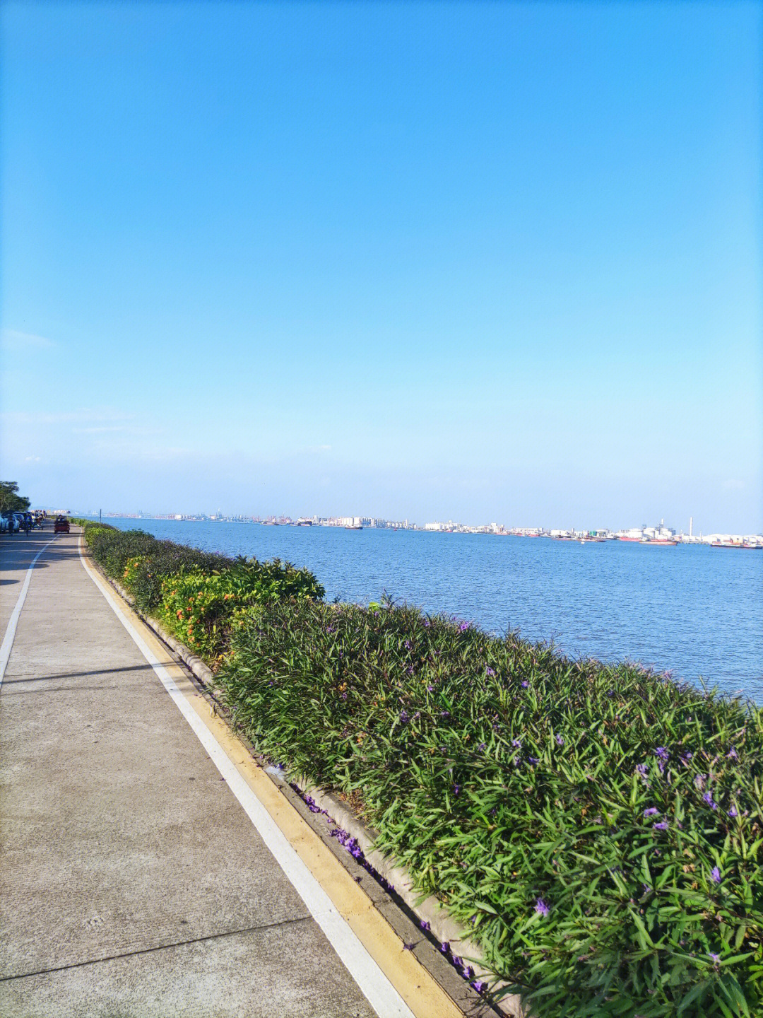 海鸥岛湿地公园图片