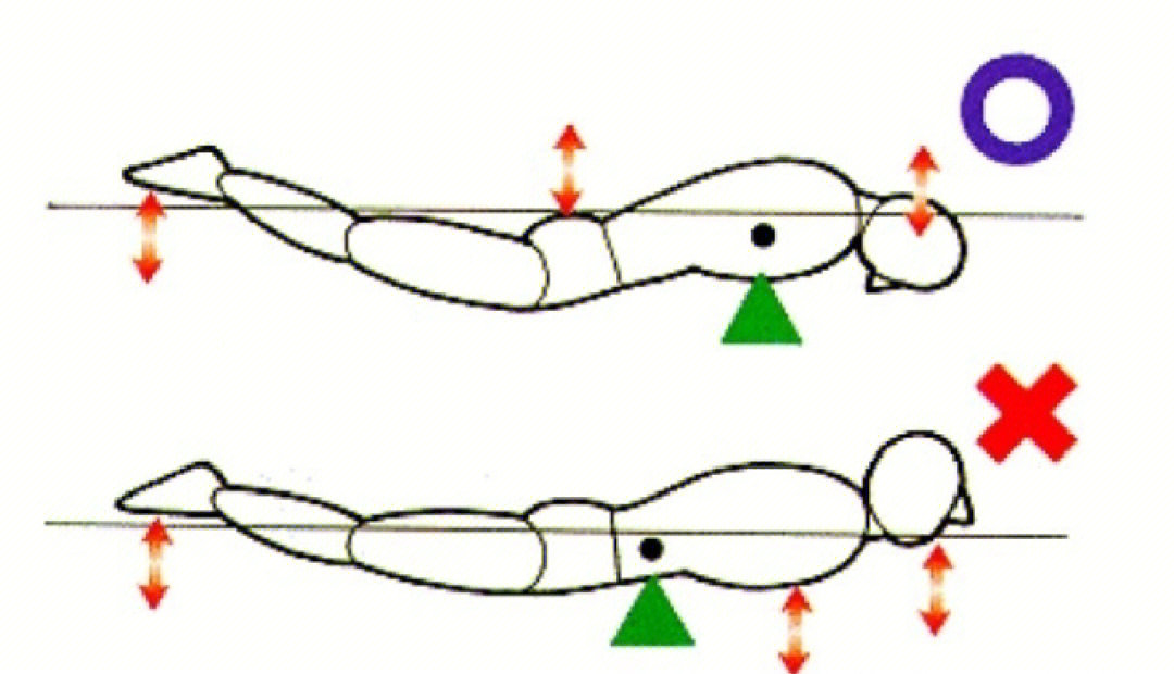 蝶泳的正确姿势图片