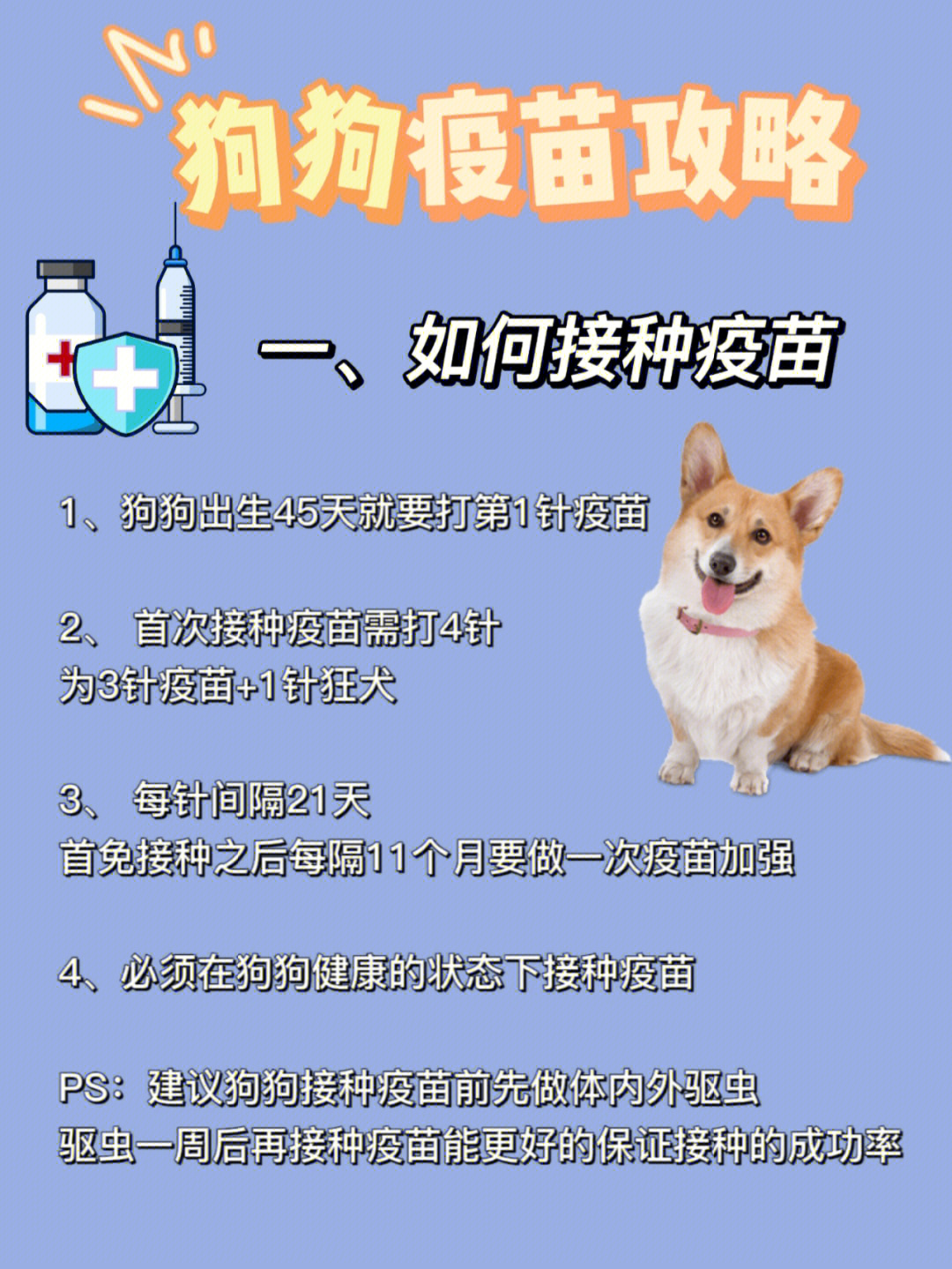 狂犬疫苗注意事项忌口图片