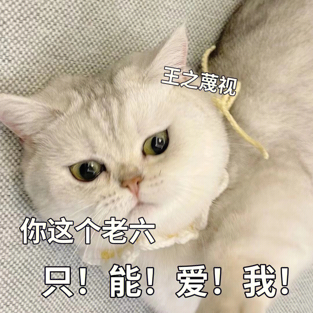 猫咪可爱表情包