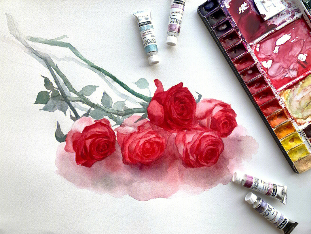 水彩花卉红玫瑰过程图