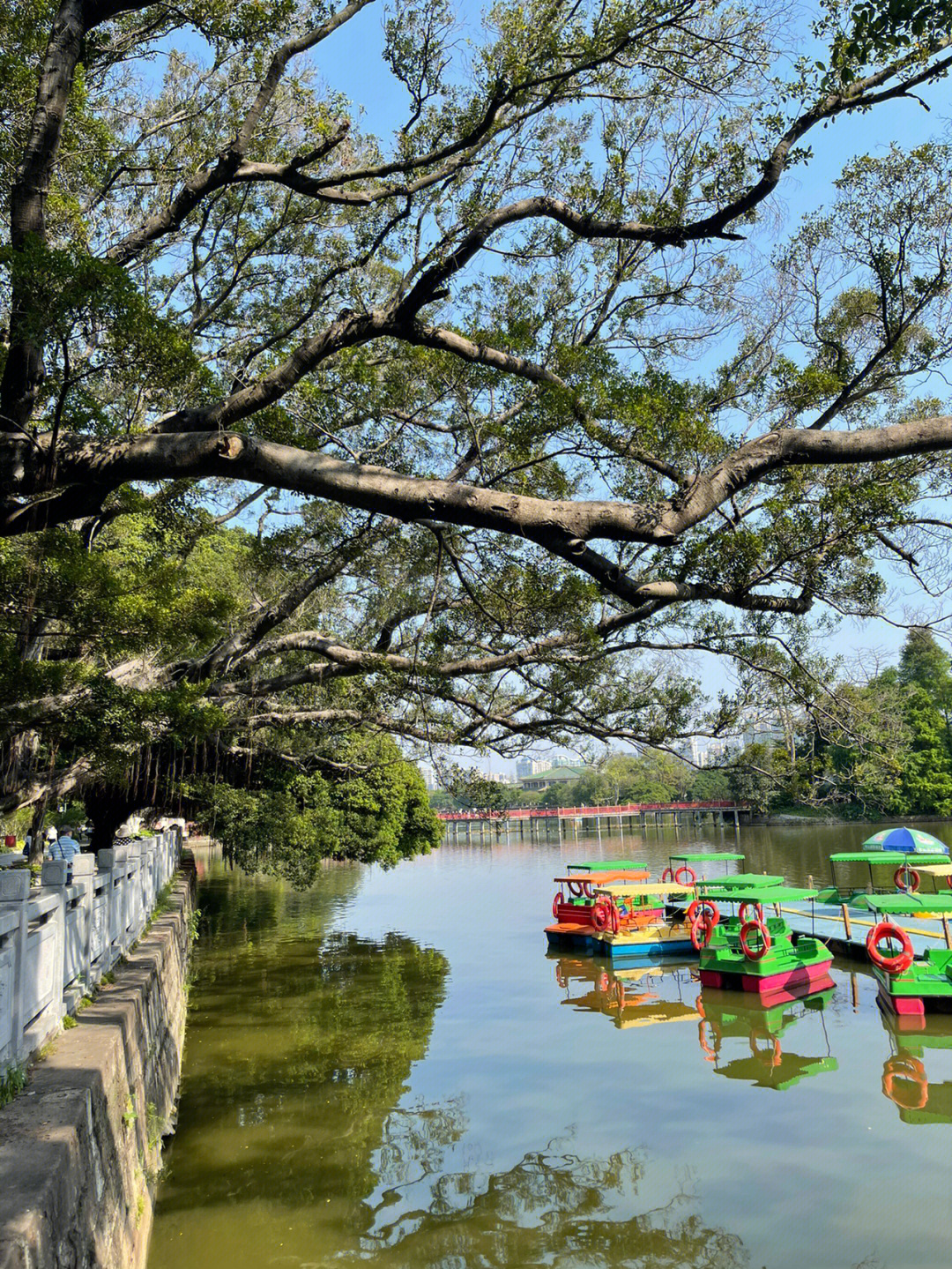 广州东山湖公园作文图片