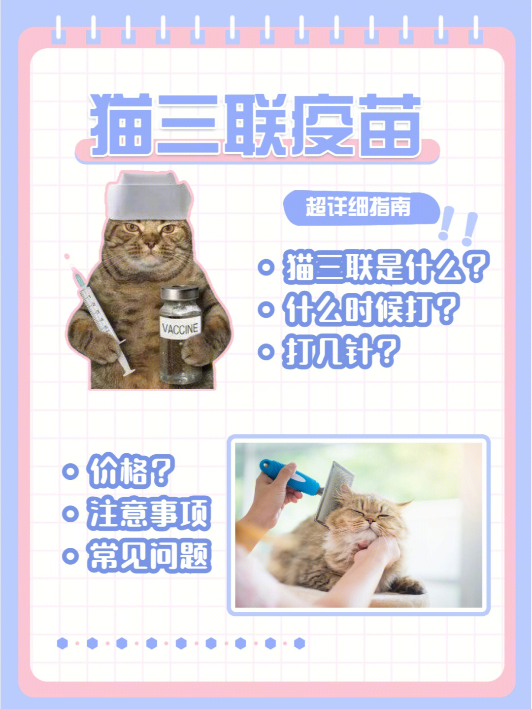 猫打疫苗多少钱图片