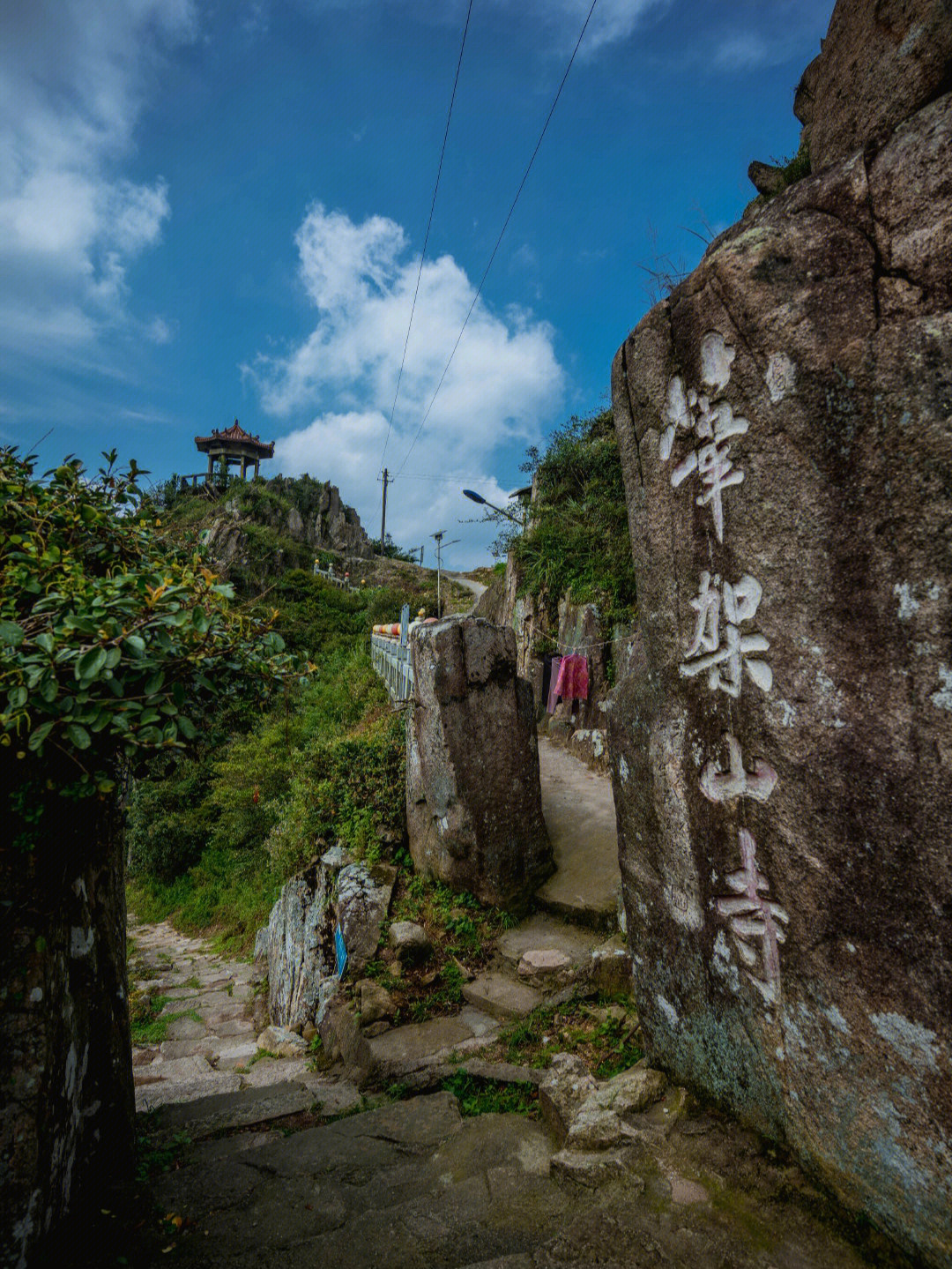 紫山风景区观后感图片