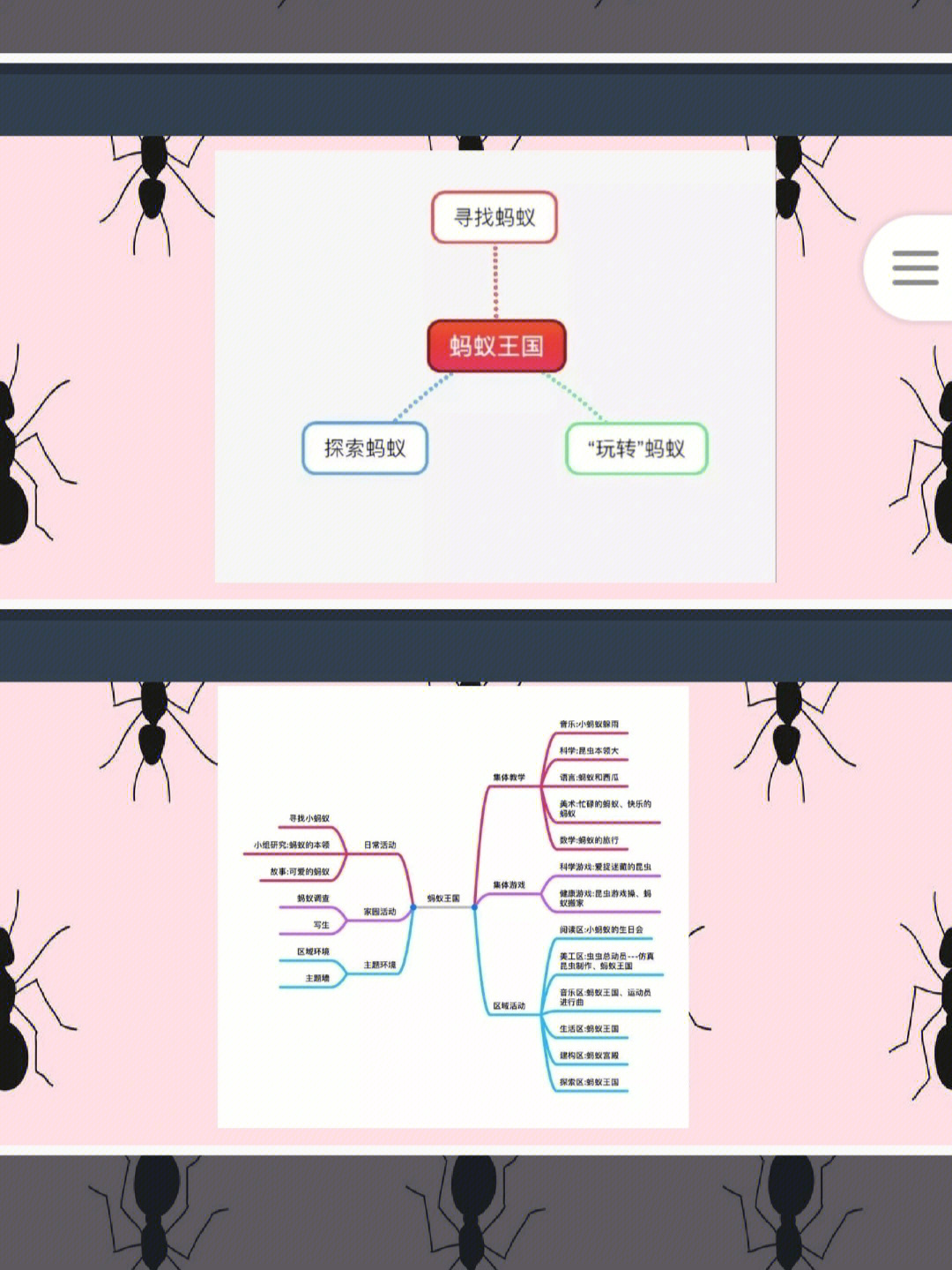 大班蚂蚁主题网络图图片