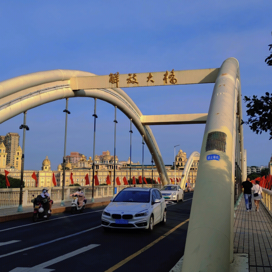 解放大桥跳桥图片