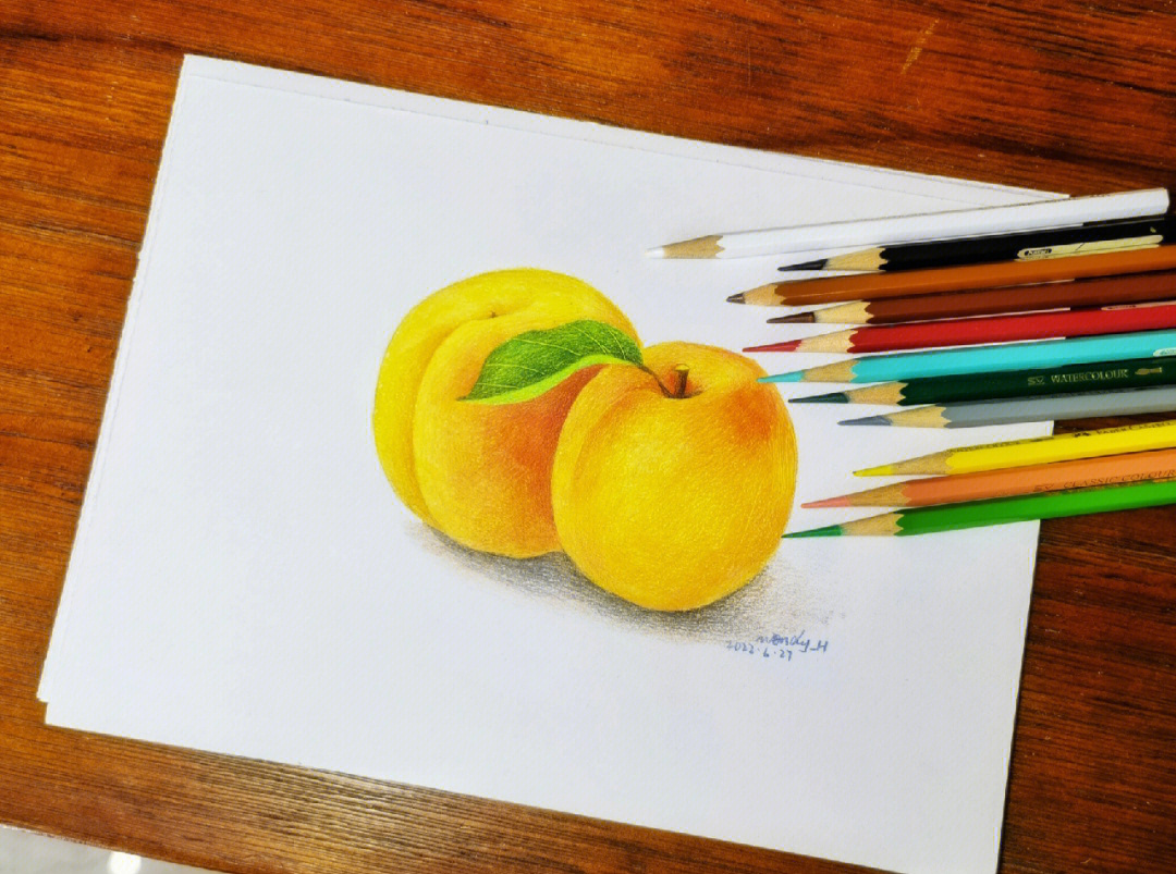 彩铅画杏子图片