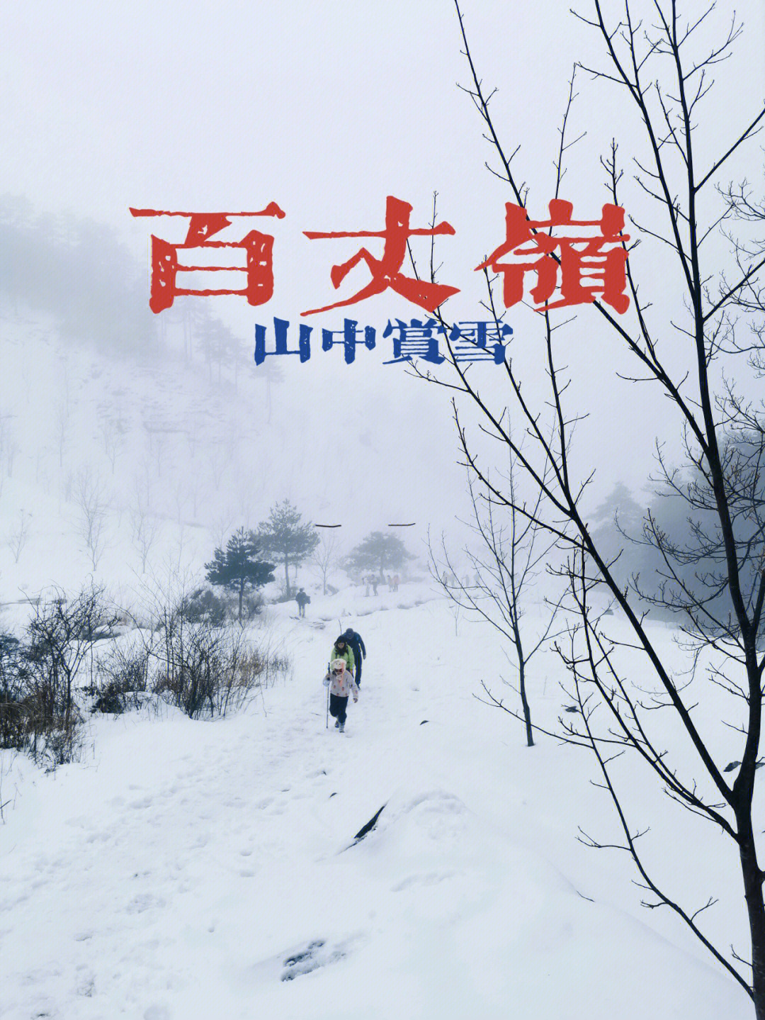 杭州百丈岭赏雪2022江浙沪周边游03