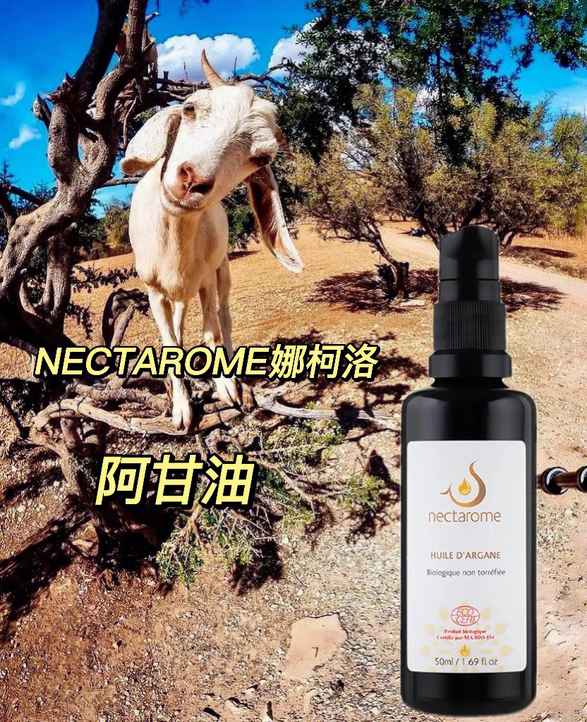 nectarome娜柯洛修护精华阿甘油