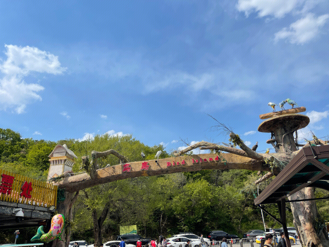 沈阳鸟岛门票图片