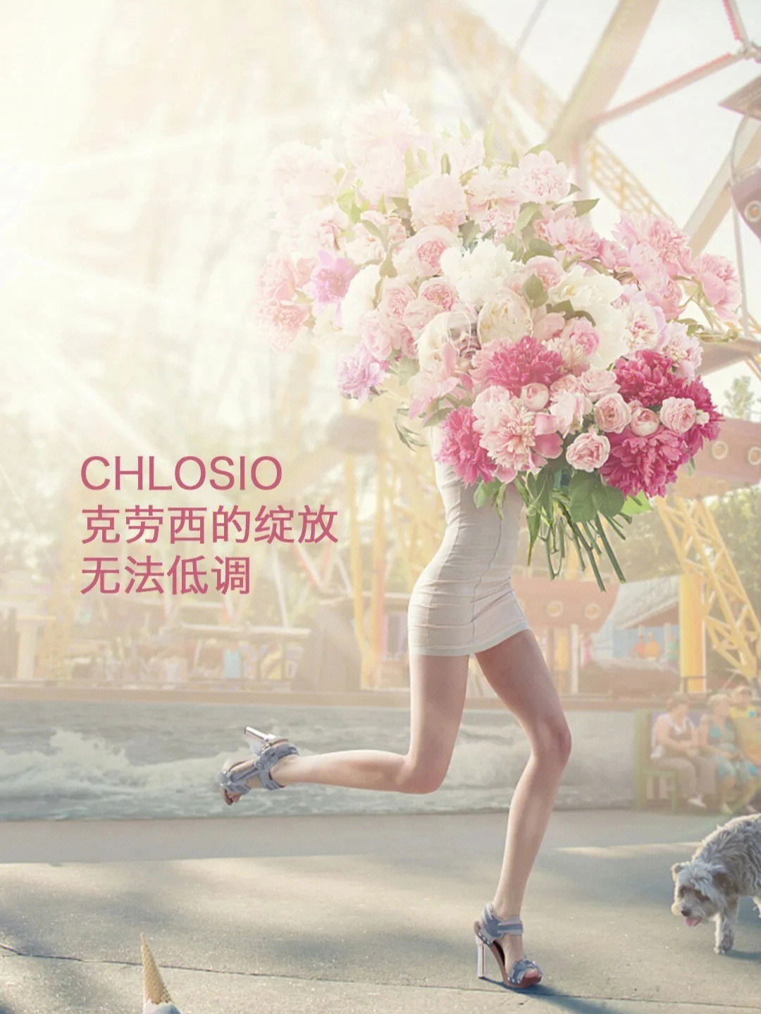 chlosio图片