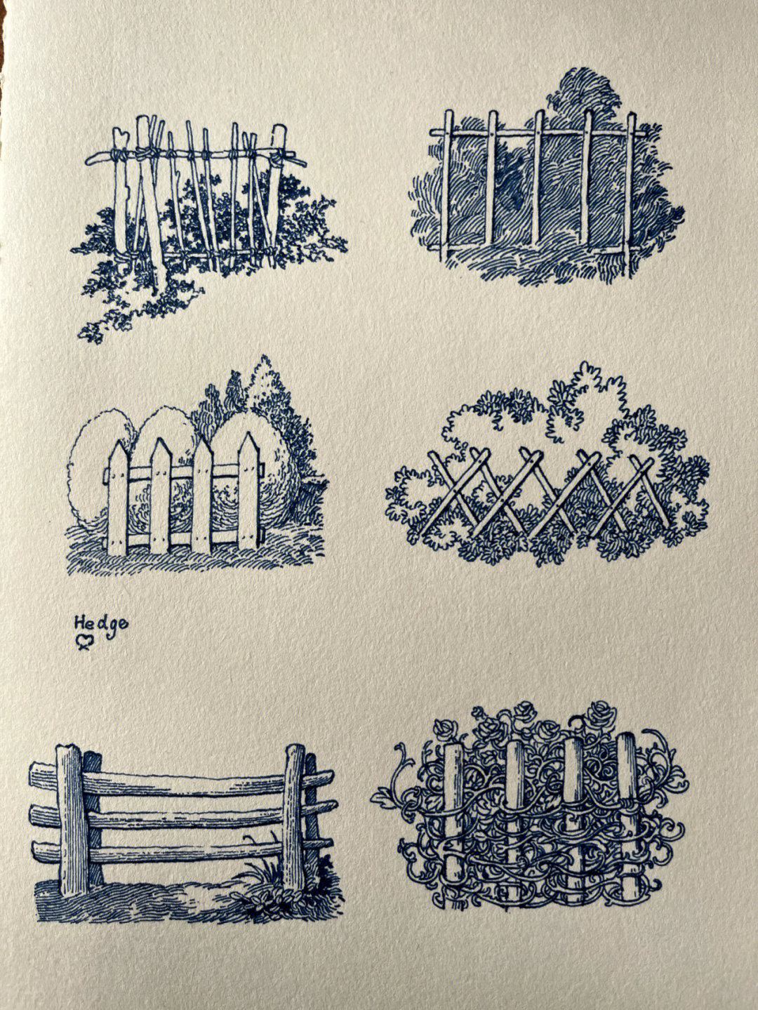 农家小院篱笆绘画图片