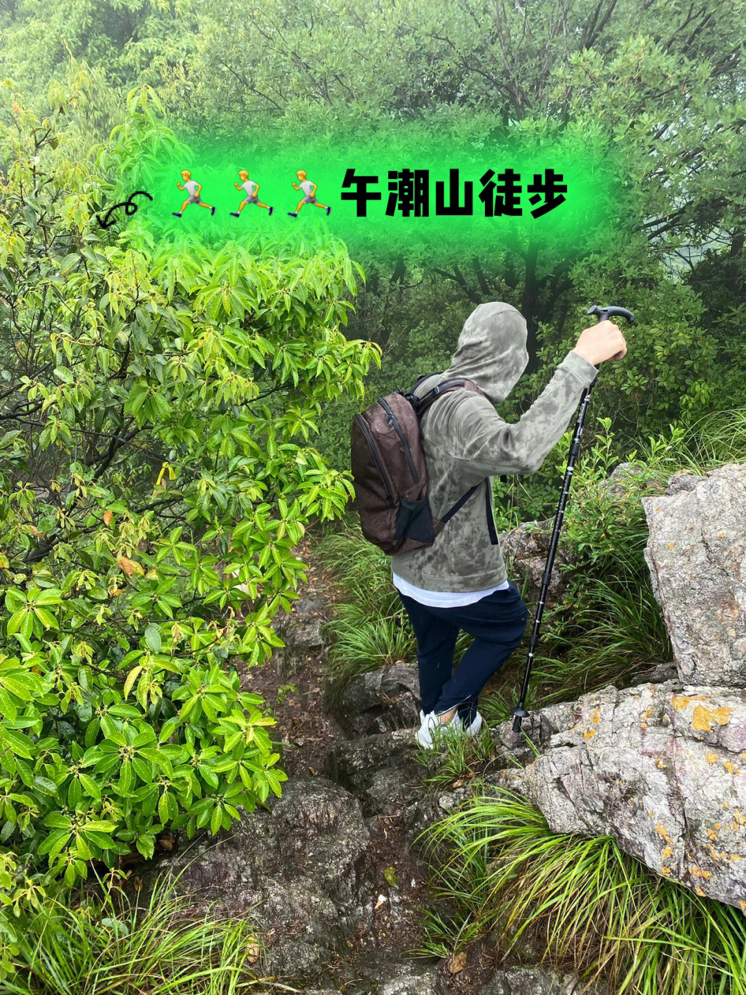 午潮山海拔图片