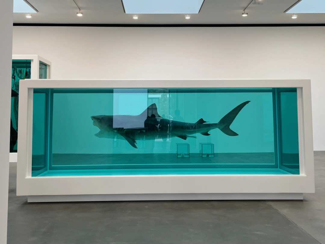 伦敦展览福尔马林浸泡的鲨鱼00