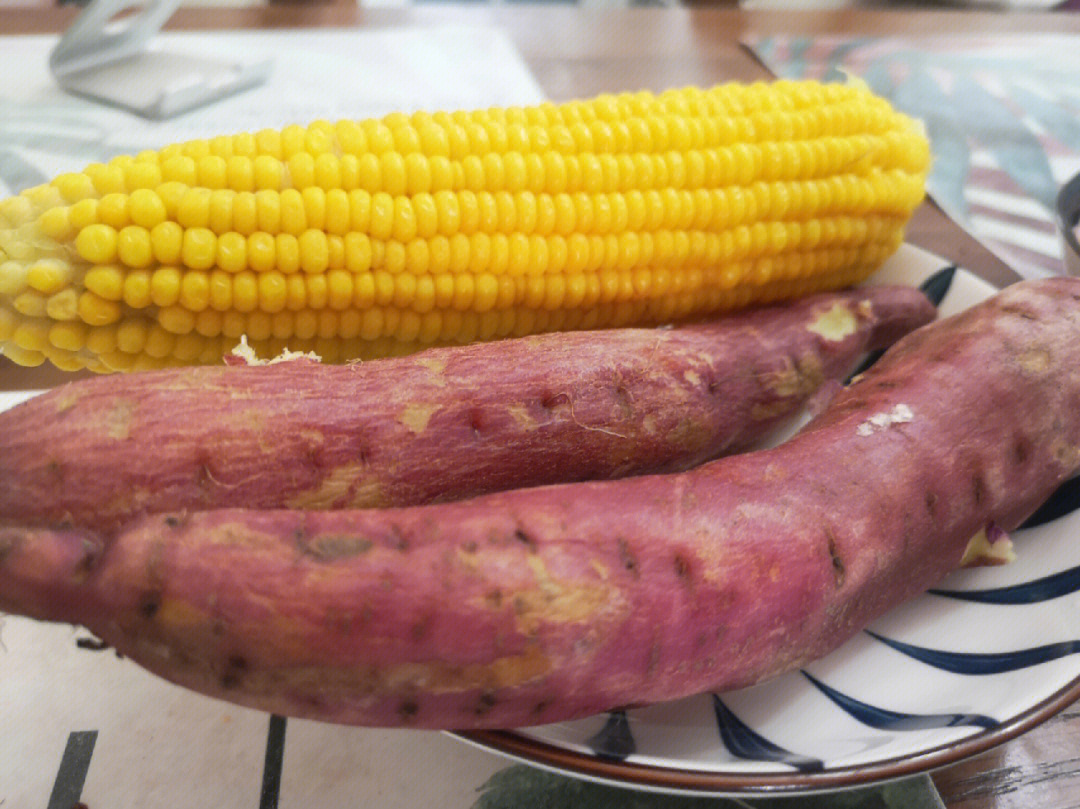 玉米套种红薯宽窄行图片