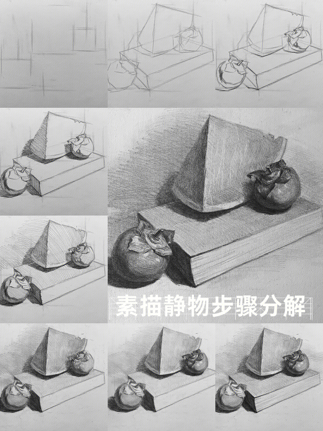 素描静物基础步骤分享