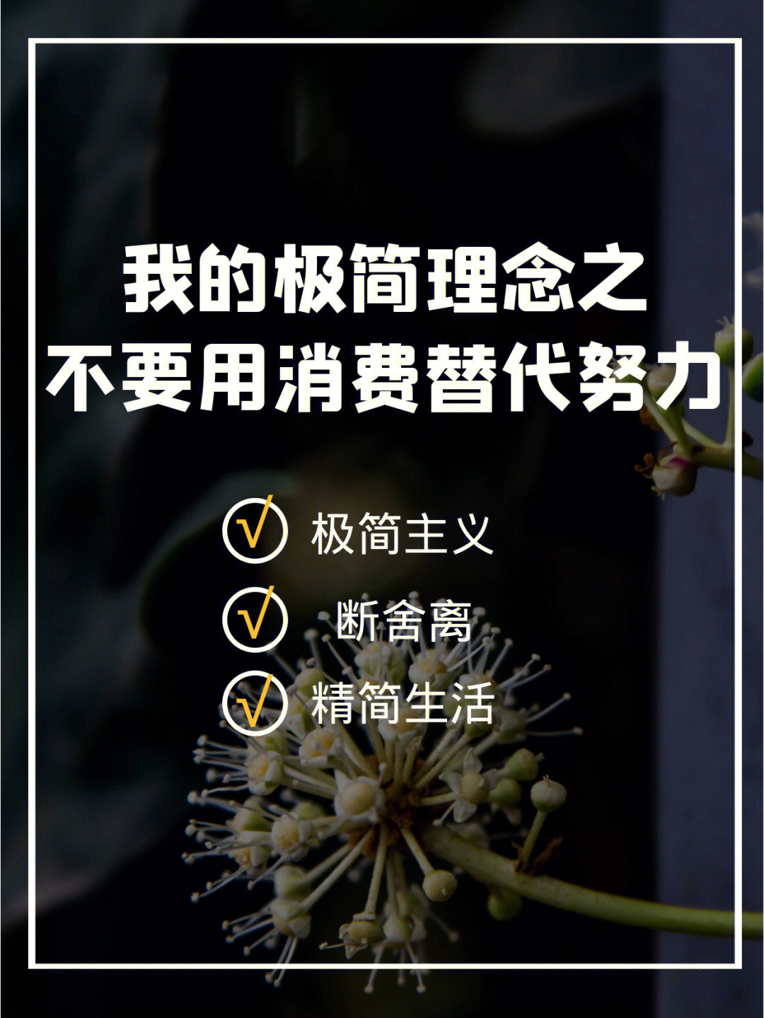 极简生活的18条理念图片