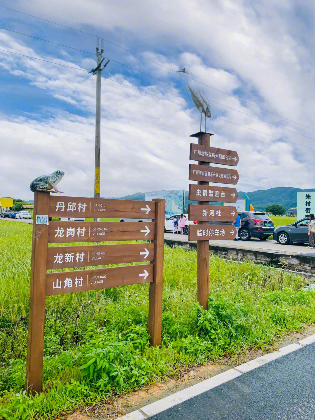 增城区丝苗米稻田公园图片