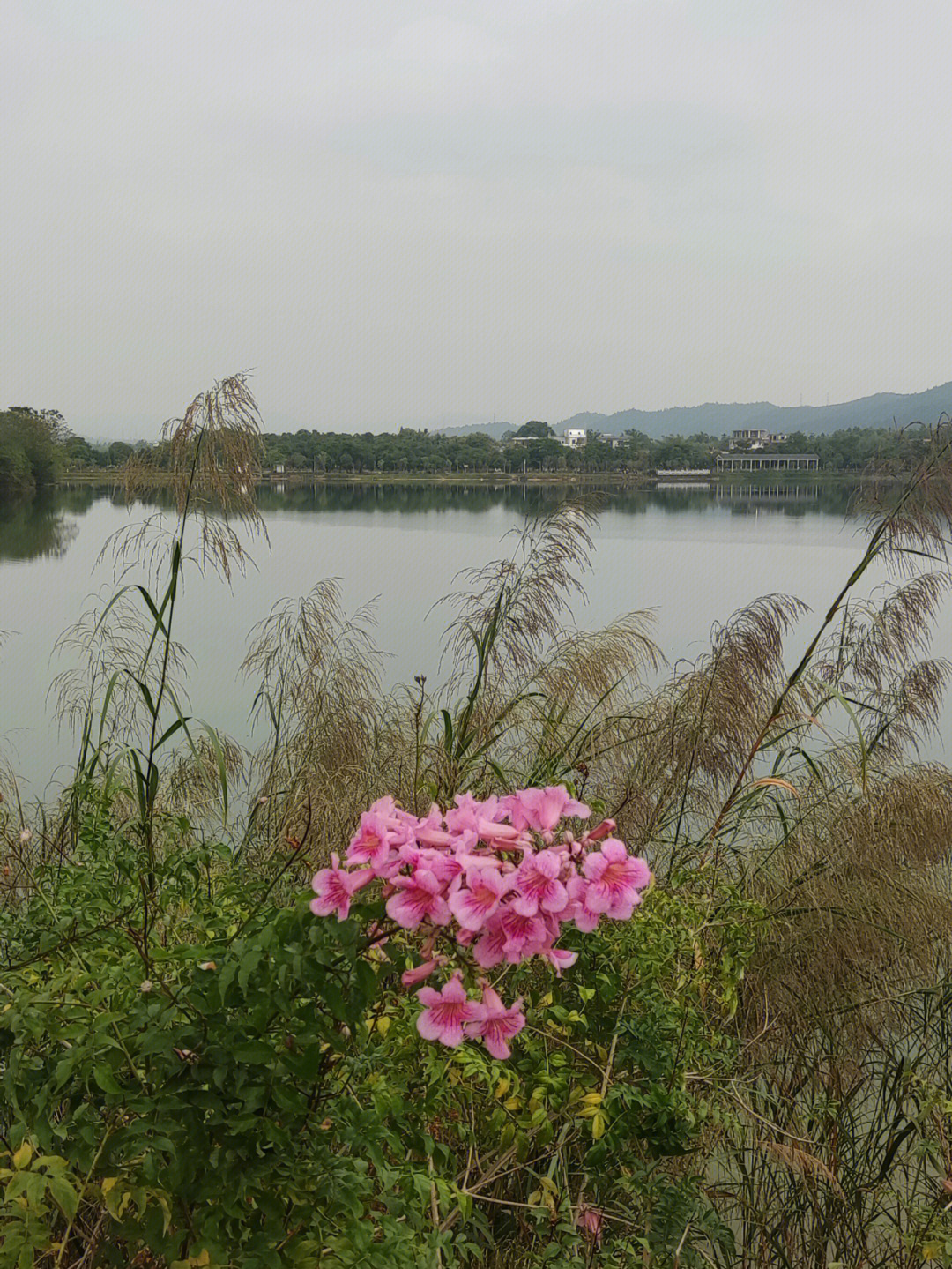 花都竹洞水库图片