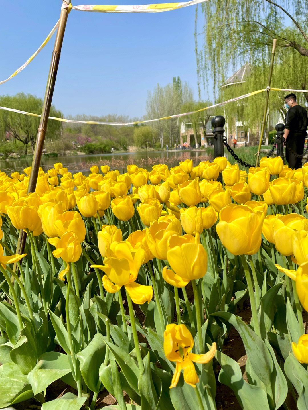 潍坊植物园地图图片