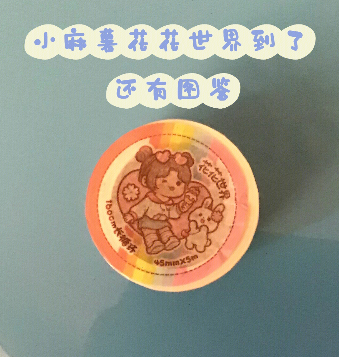 我的小麻薯花花世界终于到了