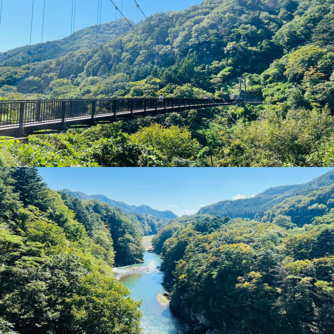 参考一下哦①第一站[樱花r]鬼怒榡岩大吊橋[樱花r]整个吊桥长140m