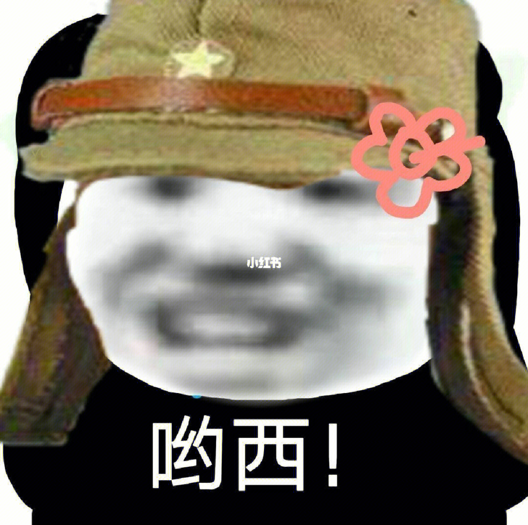 日本大佐熊猫头表情包图片