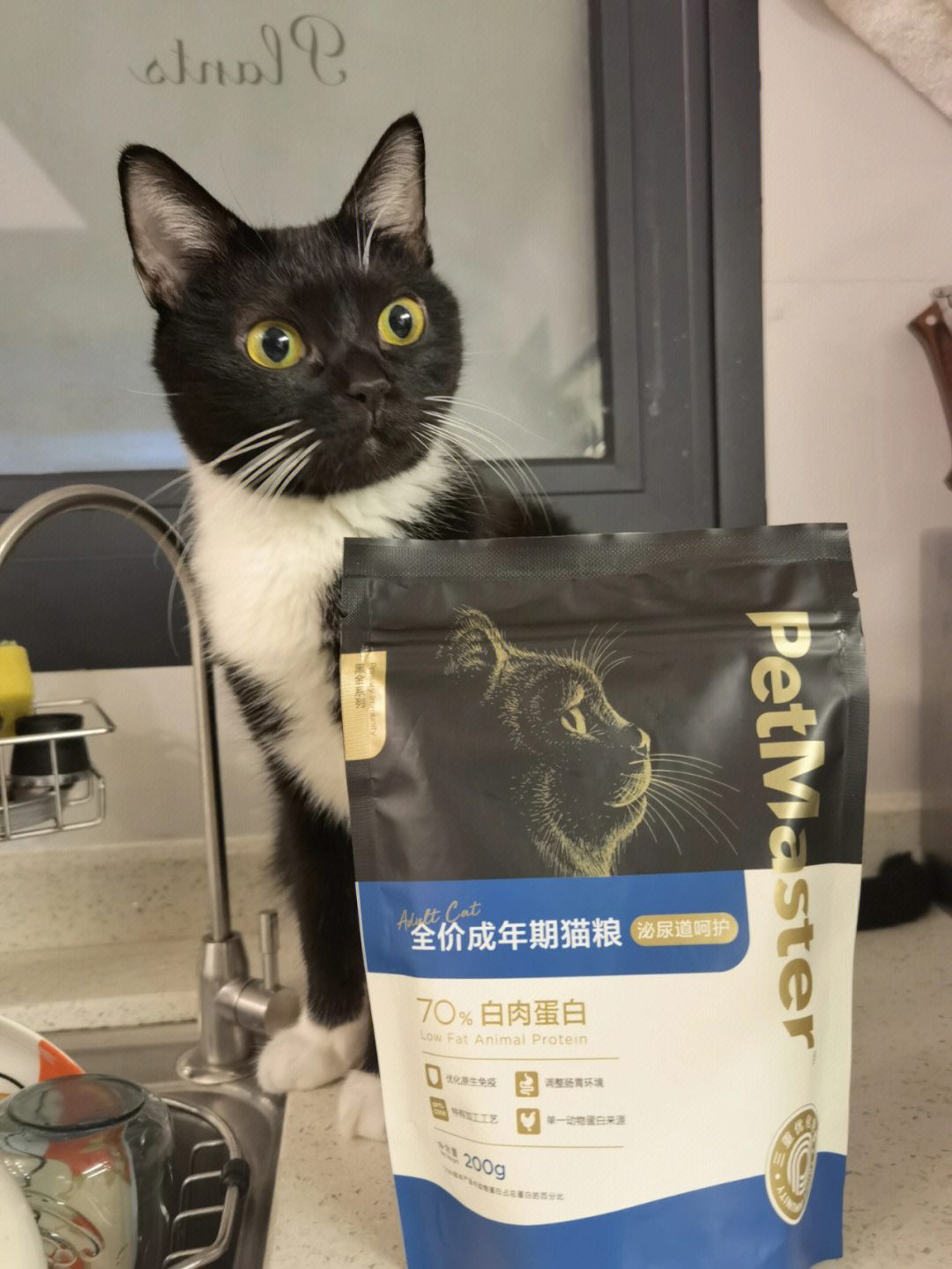 佩玛斯特黑金系列猫粮国产猫粮三重免疫粮