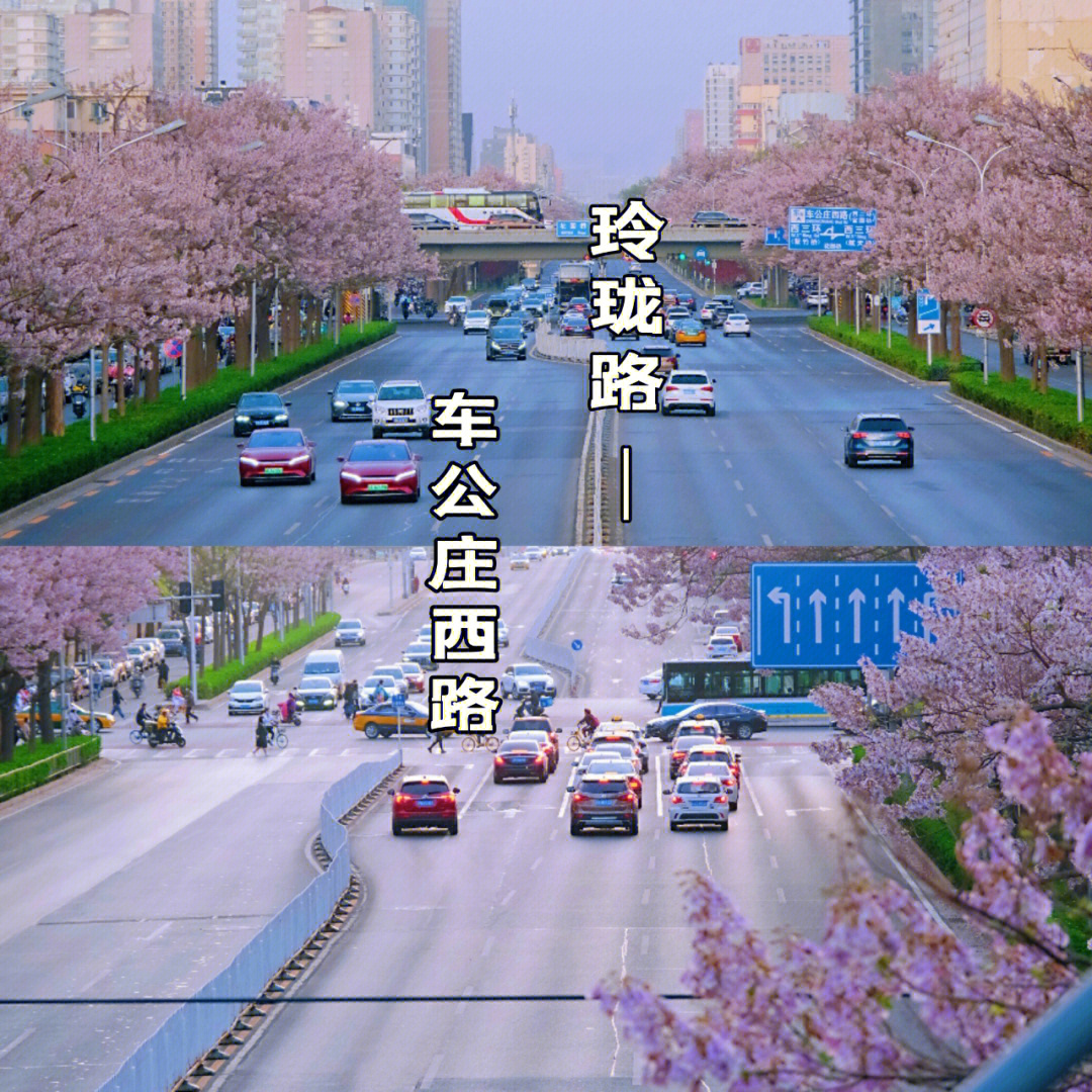 车公庄西路图片