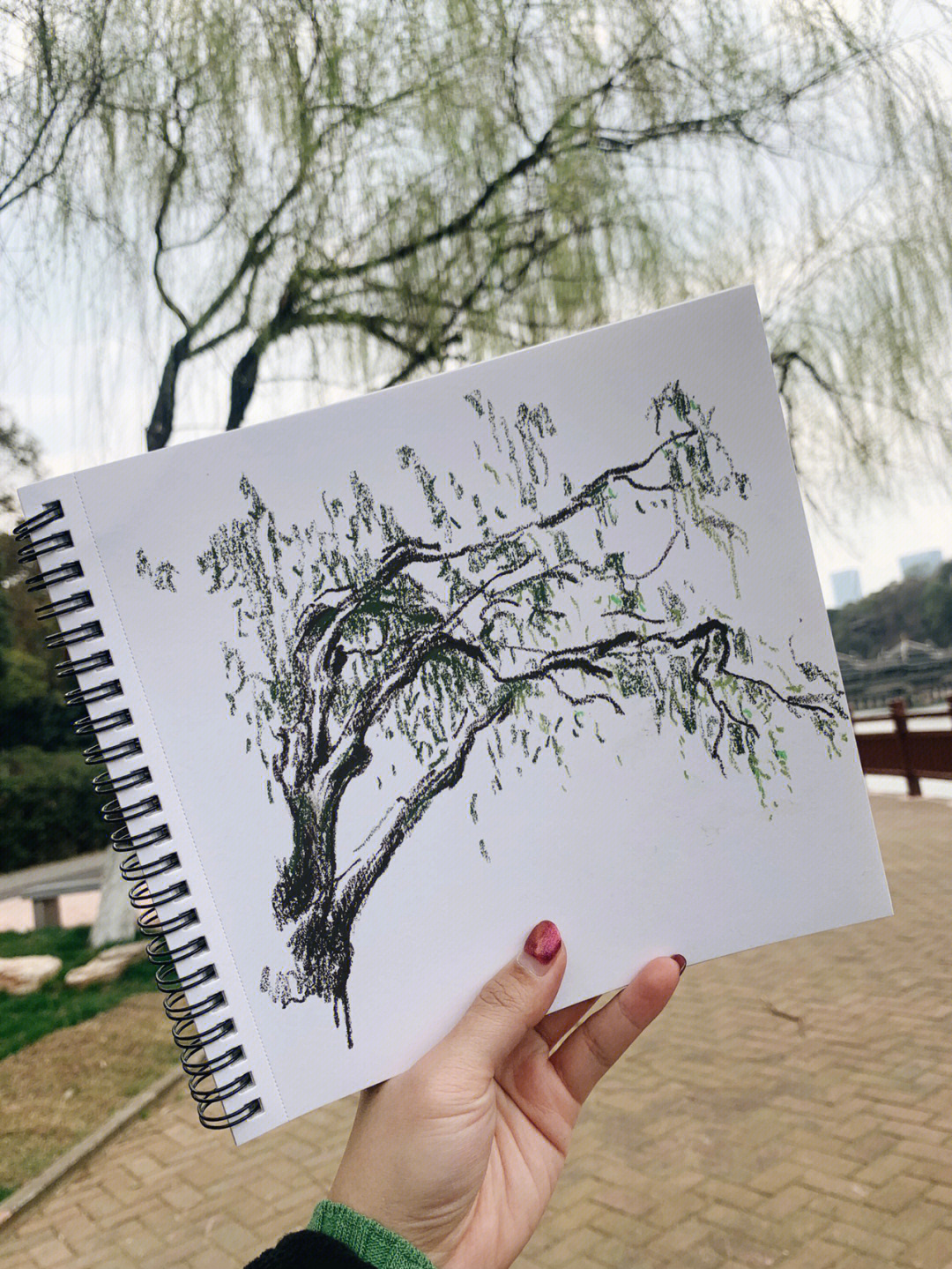 油画棒15分钟速涂写生公园的柳树