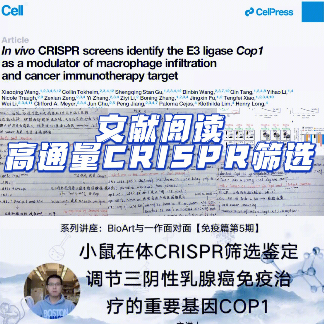 99高通量crispr/cas9筛选到底有多厉害,这篇cell 文章就是一个很好