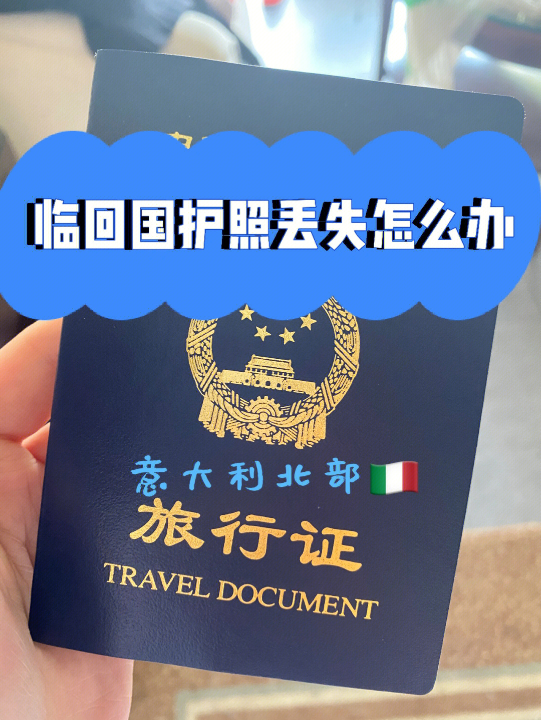意大利护照样本图解图片