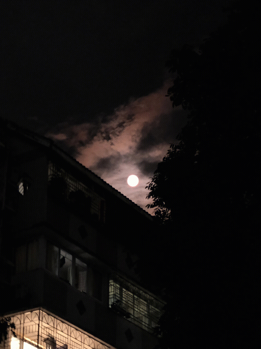 今晚的月色真美下一句图片