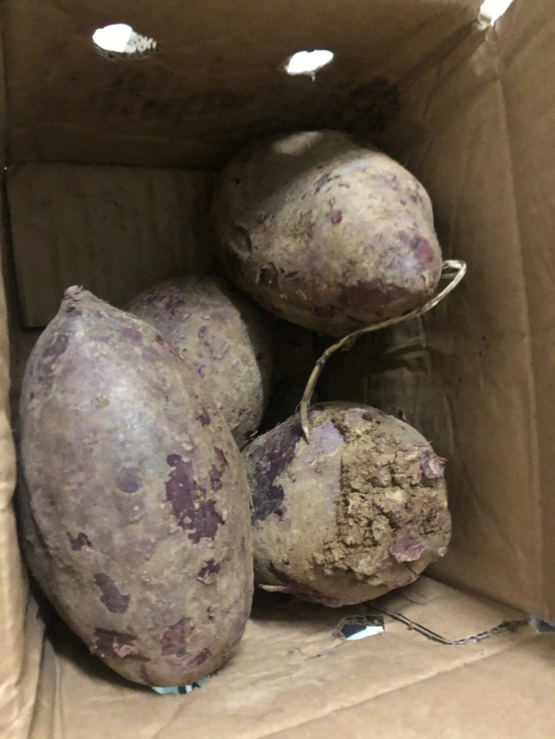 紫薯发霉图片