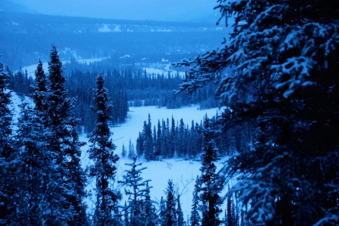 迪纳利国家公园冬季雪景