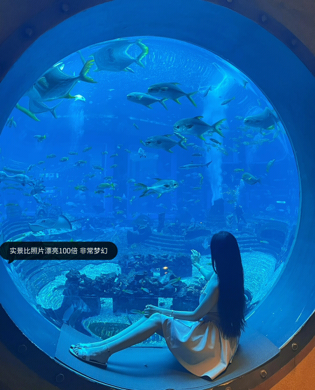 锦州海底世界位置图片