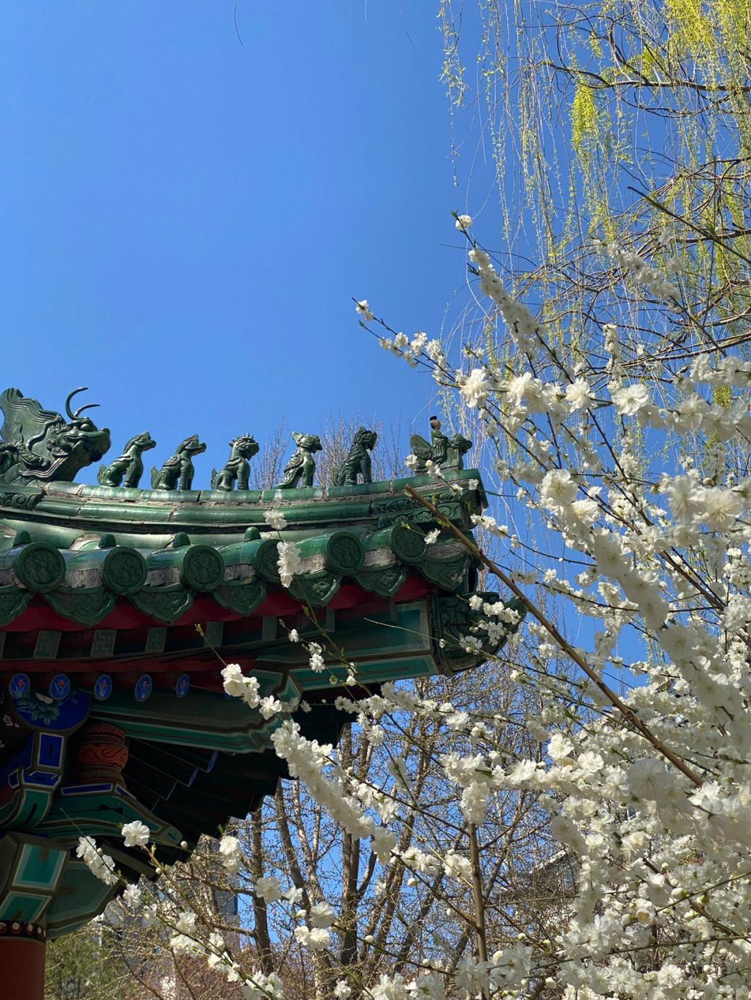 北京月坛公园景点介绍图片